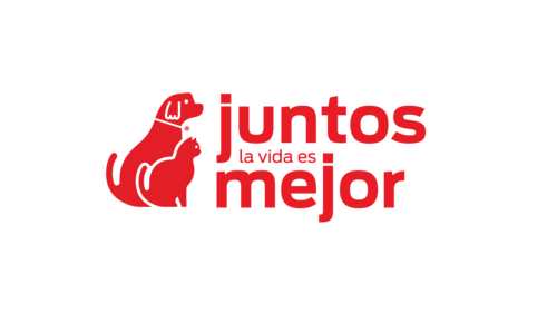 Cu Ndo Se Vacuna A Un Cachorro Purina